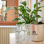 公寓式酒店 San Luca Flats 威尼斯